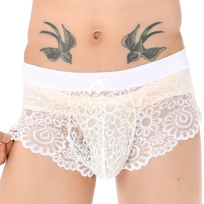 Breathable Sheer Lace Briefs - Image 5