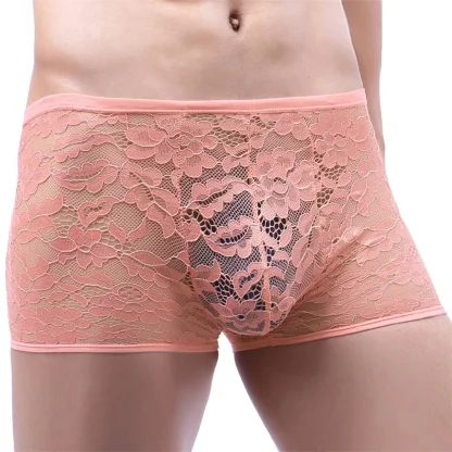 Sheer Lace Boxer Briefs - Image 5