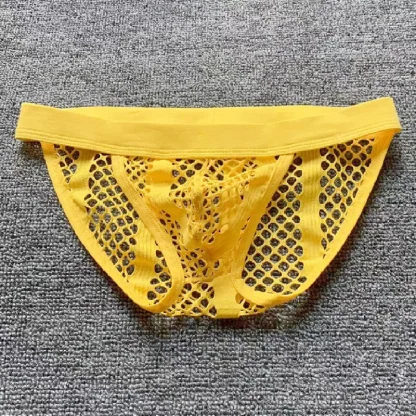 High Elasticity Fishnet Briefs - Image 4