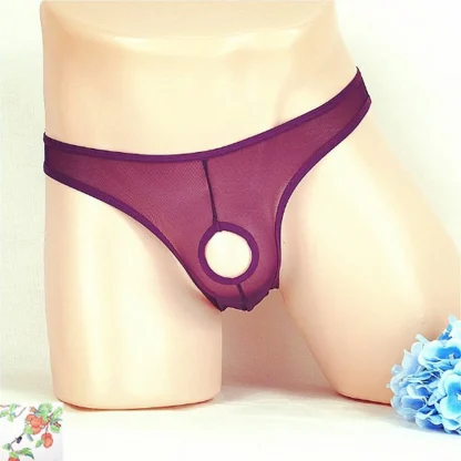Open Crotch See-through Panties - Image 6