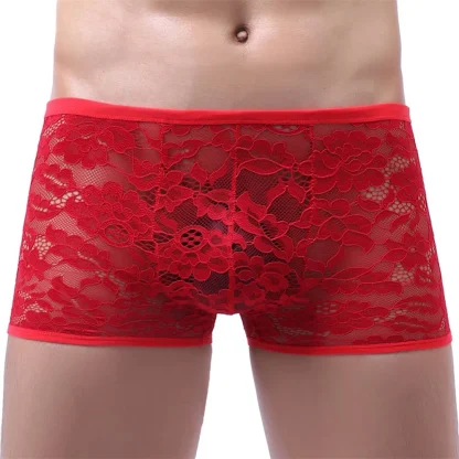 Sheer Lace Boxer Briefs - Image 4