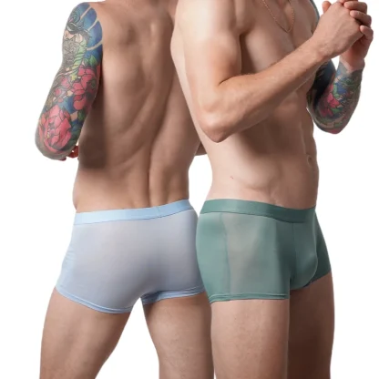 Breathable Soft Sheer Boxer Brief