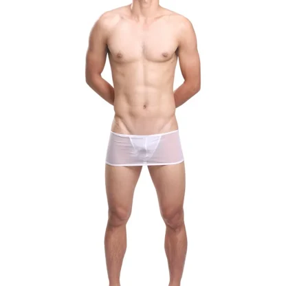 Ultra-thin Mesh Skirted Thong - Image 2