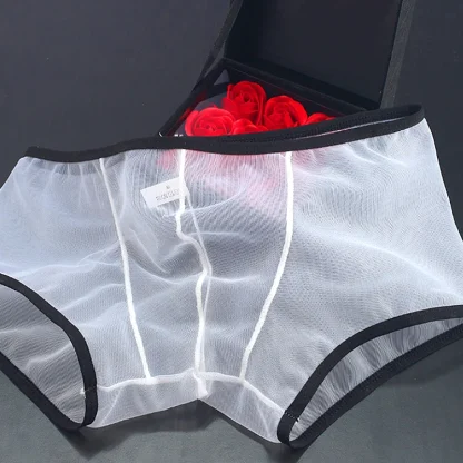 Transparent Soft Boxer Brief - Image 10