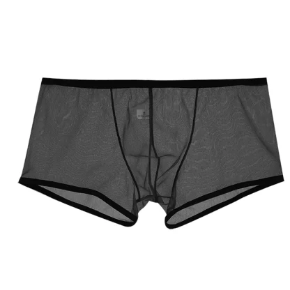 See-through Mesh Boxer Brief - Image 10