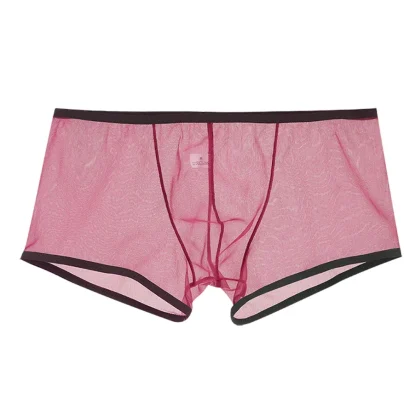 See-through Mesh Boxer Brief - Image 8