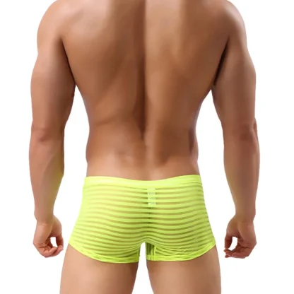 See-through Striped Mesh Boxer Brief - Image 10