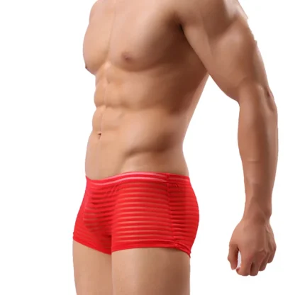 See-through Striped Mesh Boxer Brief - Image 6
