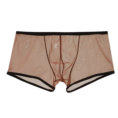 See-through Mesh Boxer Brief - Image 7