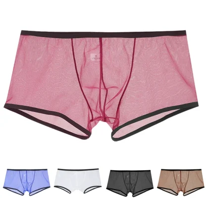 See-through Mesh Boxer Brief - Image 13