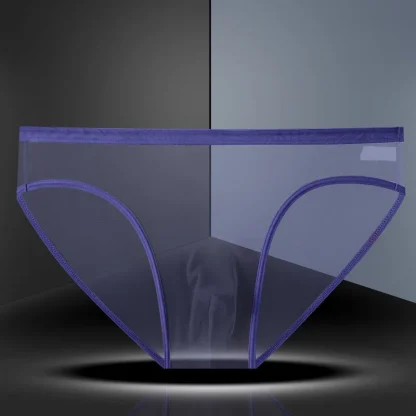 Transparent Mesh Sensual Brief - Image 3