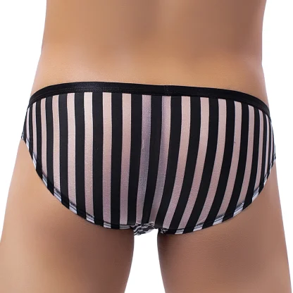 Striped Mesh See-through Brief - Image 5