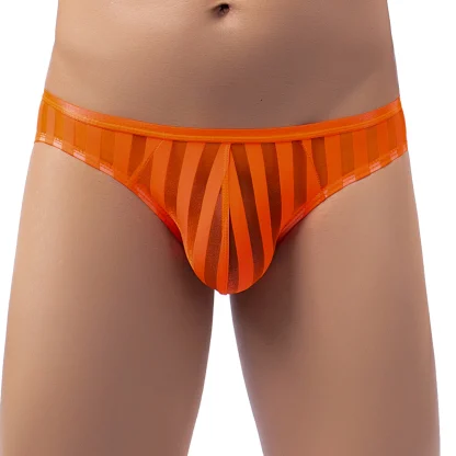 Striped Mesh See-through Brief - Image 8