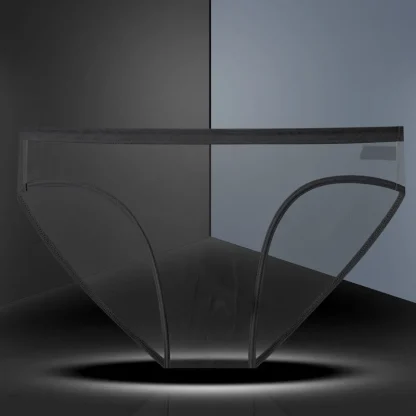 Transparent Mesh Sensual Brief - Image 4