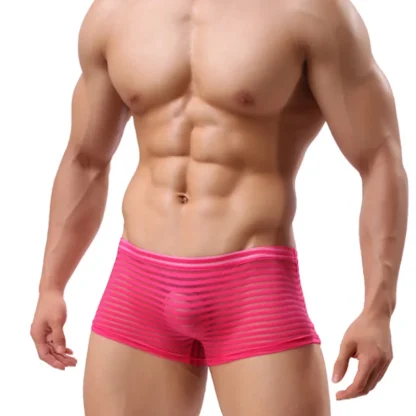 See-through Striped Mesh Boxer Brief - Image 4