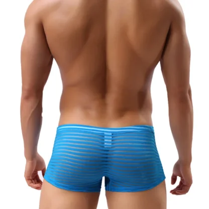 See-through Striped Mesh Boxer Brief - Image 3