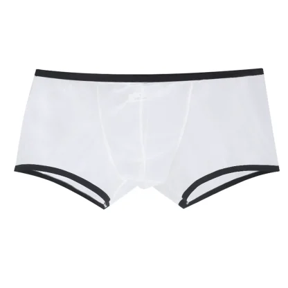 See-through Mesh Boxer Brief