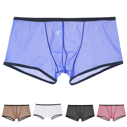 See-through Mesh Boxer Brief - Image 12