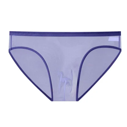Transparent Mesh Sensual Brief - Image 5