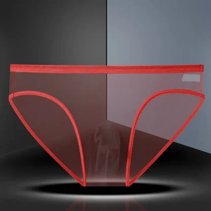 Transparent Mesh Sensual Brief - Image 2
