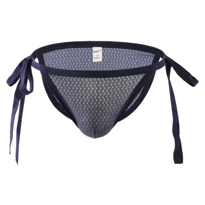 Tie-up Sides Mesh Bikini Brief - Image 3
