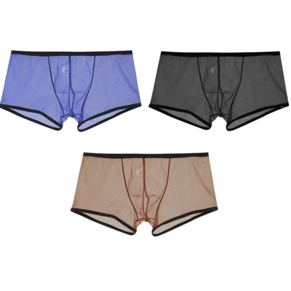 See-through Mesh Boxer Brief - Image 11