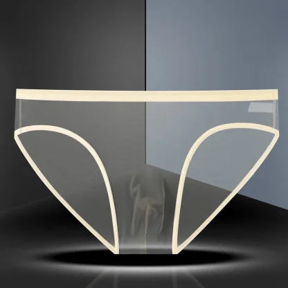 Transparent Mesh Sensual Brief
