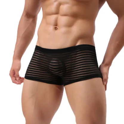 See-through Striped Mesh Boxer Brief