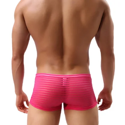 See-through Striped Mesh Boxer Brief - Image 5
