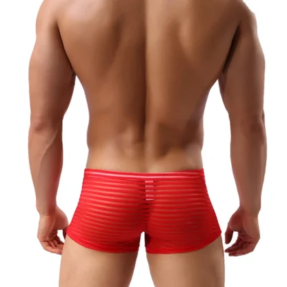 See-through Striped Mesh Boxer Brief - Image 7