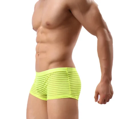 See-through Striped Mesh Boxer Brief - Image 9