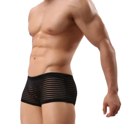 See-through Striped Mesh Boxer Brief - Image 11