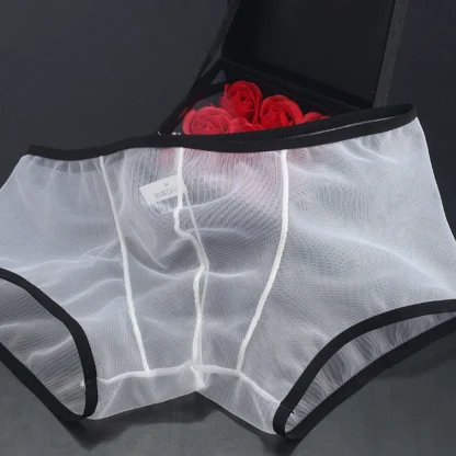See-through Mesh Boxer Brief - Image 2