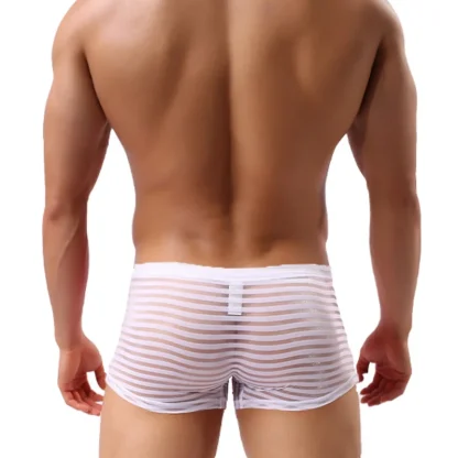 See-through Striped Mesh Boxer Brief - Image 8